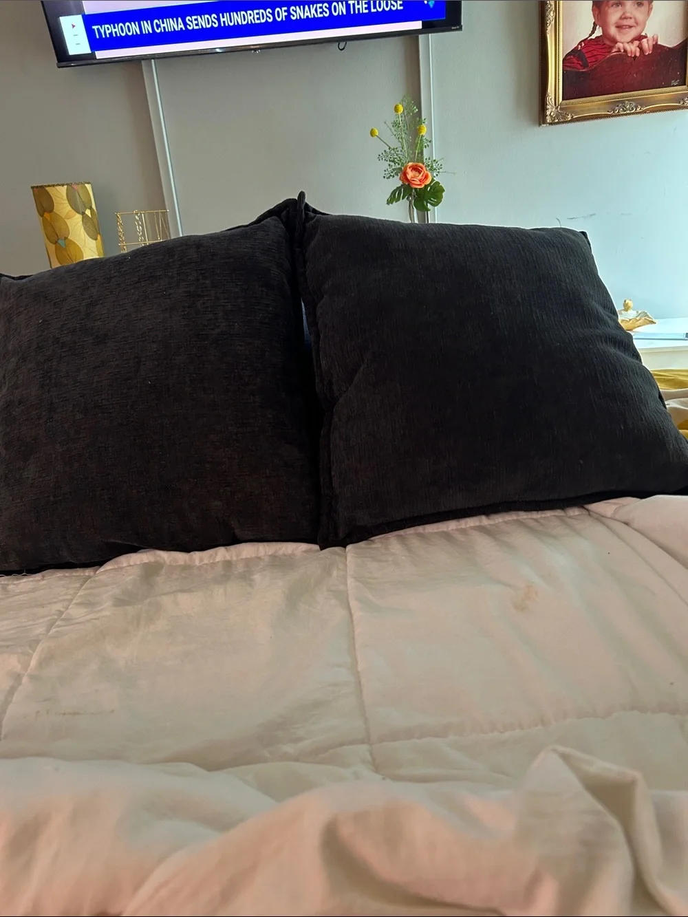 Set of 2 navy blue throw pillows